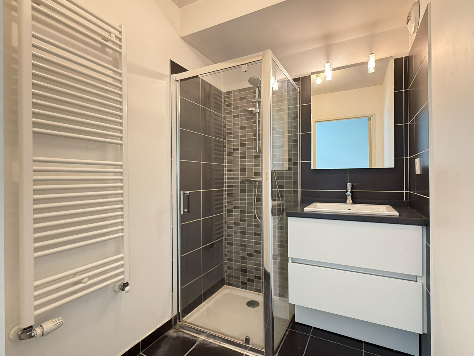 Image_8, Appartement, Villeurbanne, ref :VAP110000194