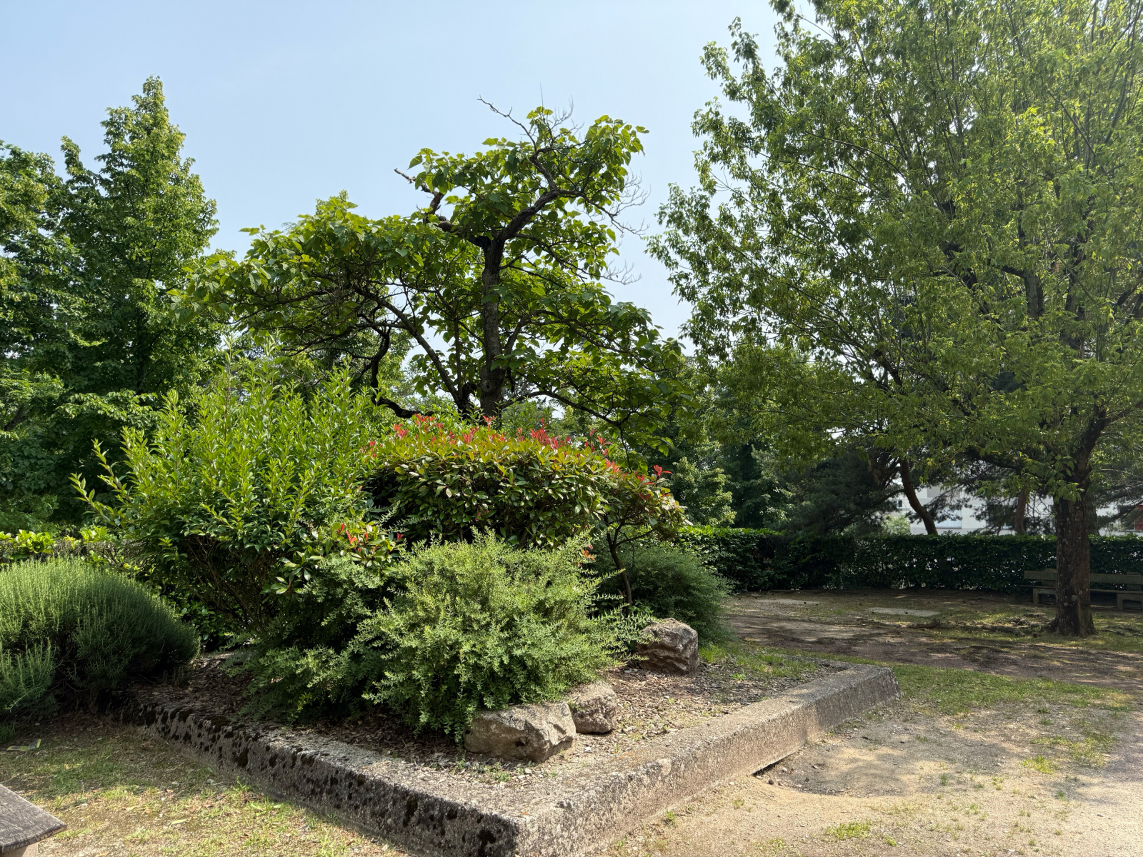 Image_18, Appartement, Caluire-et-Cuire, ref :VAP10000192