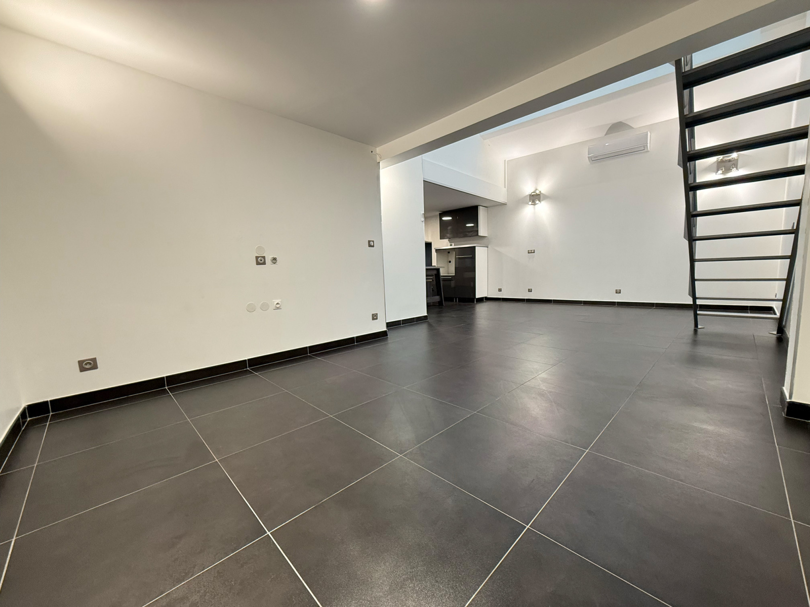 Image_4, Maison, Villeurbanne, ref :LMA20000062