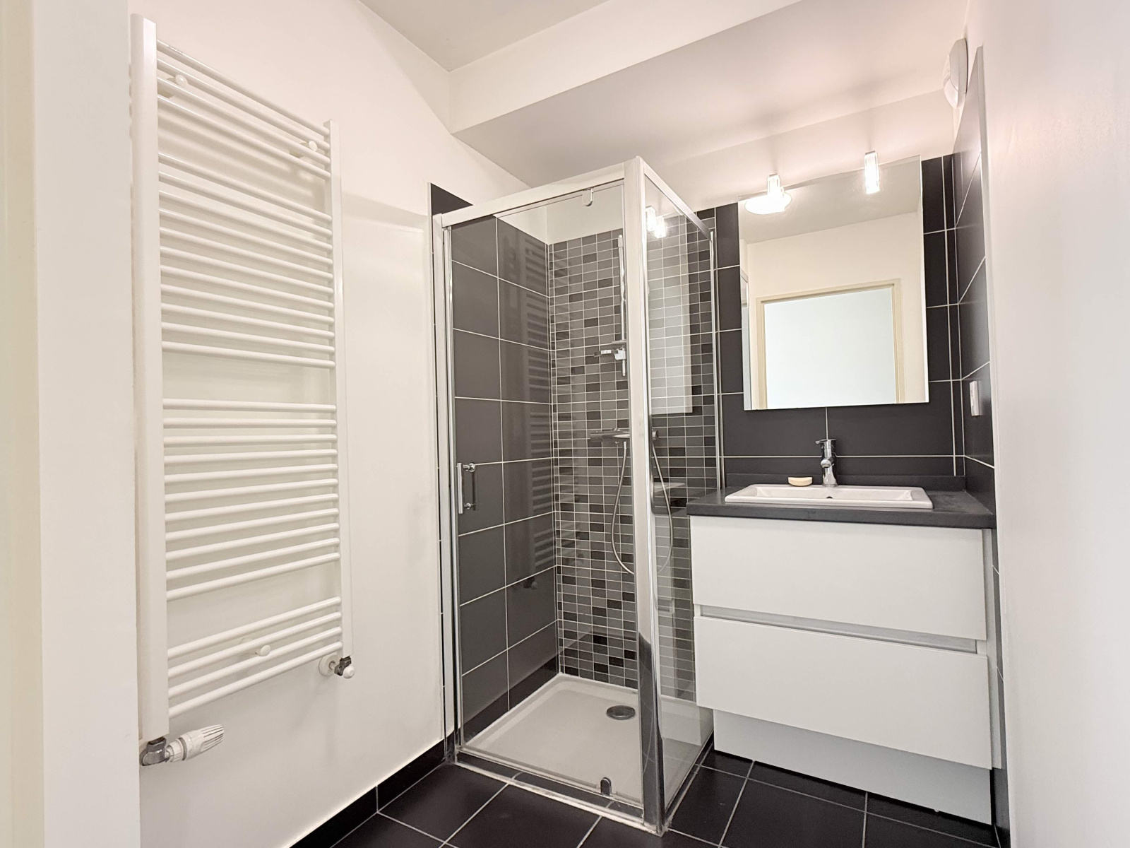 Image_7, Appartement, Villeurbanne, ref :LAP10000261