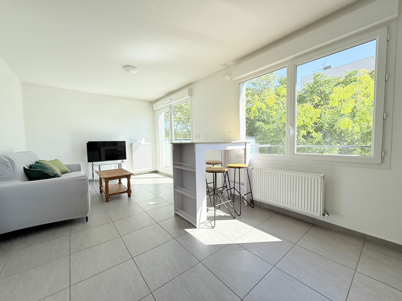 Image_2, Appartement, Villeurbanne, ref :LAP10000261