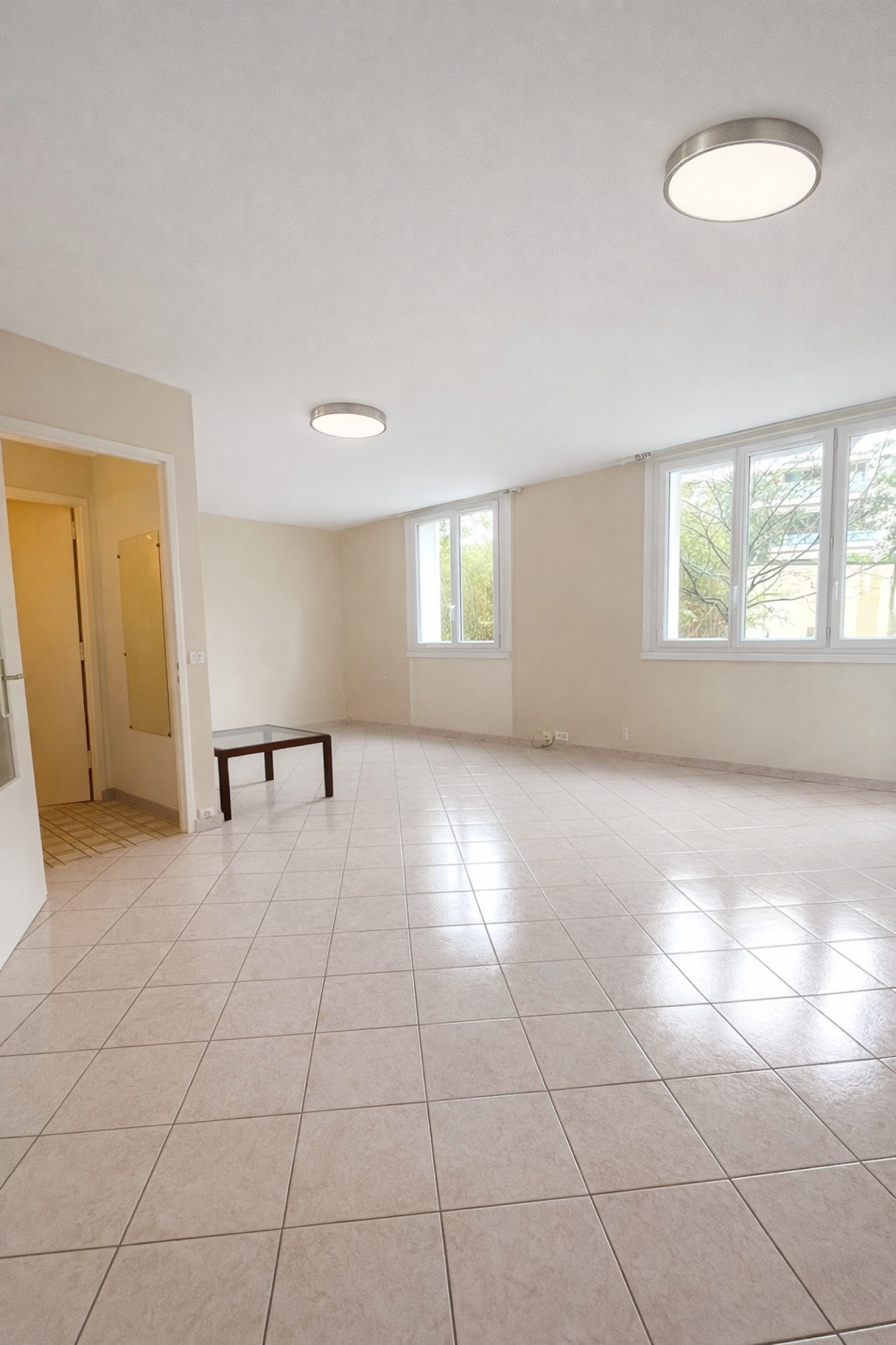 Image_1, Appartement, Lyon, ref :VAP90000223