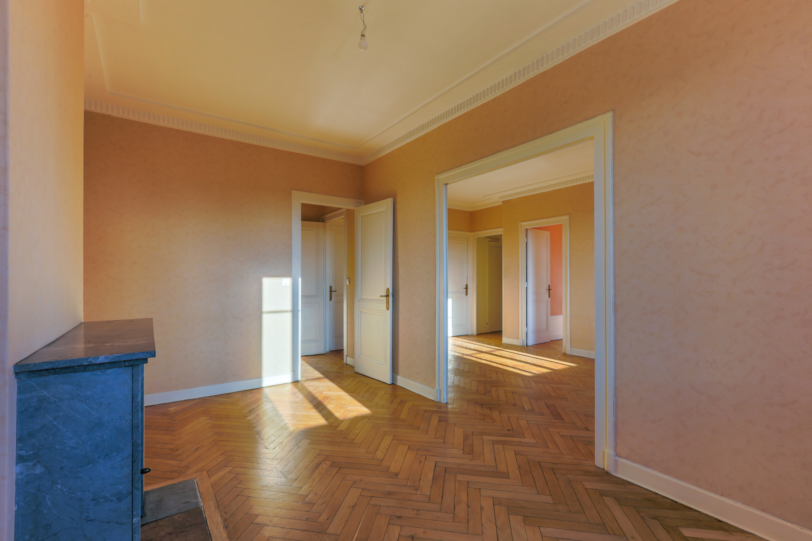 Image_4, Appartement, Lyon, ref :VAP10000221