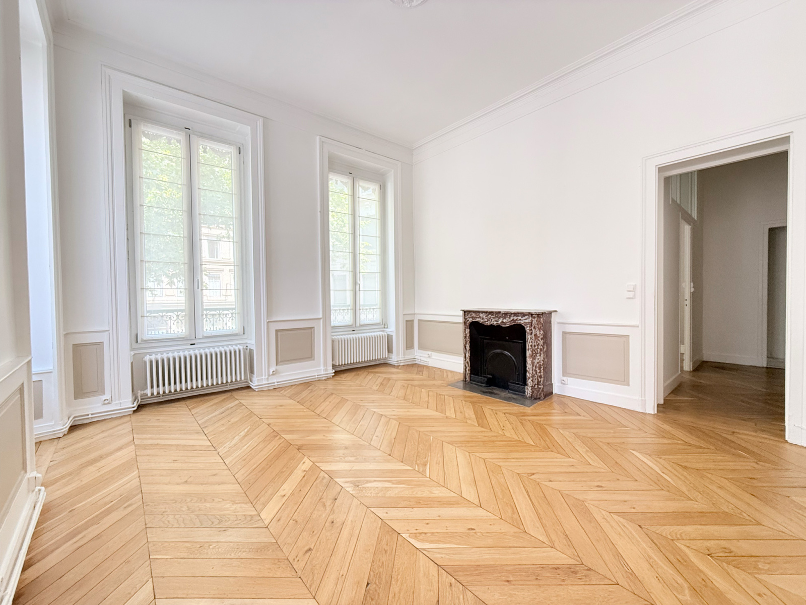 Image_2, Appartement, Lyon, ref :VAP20000053