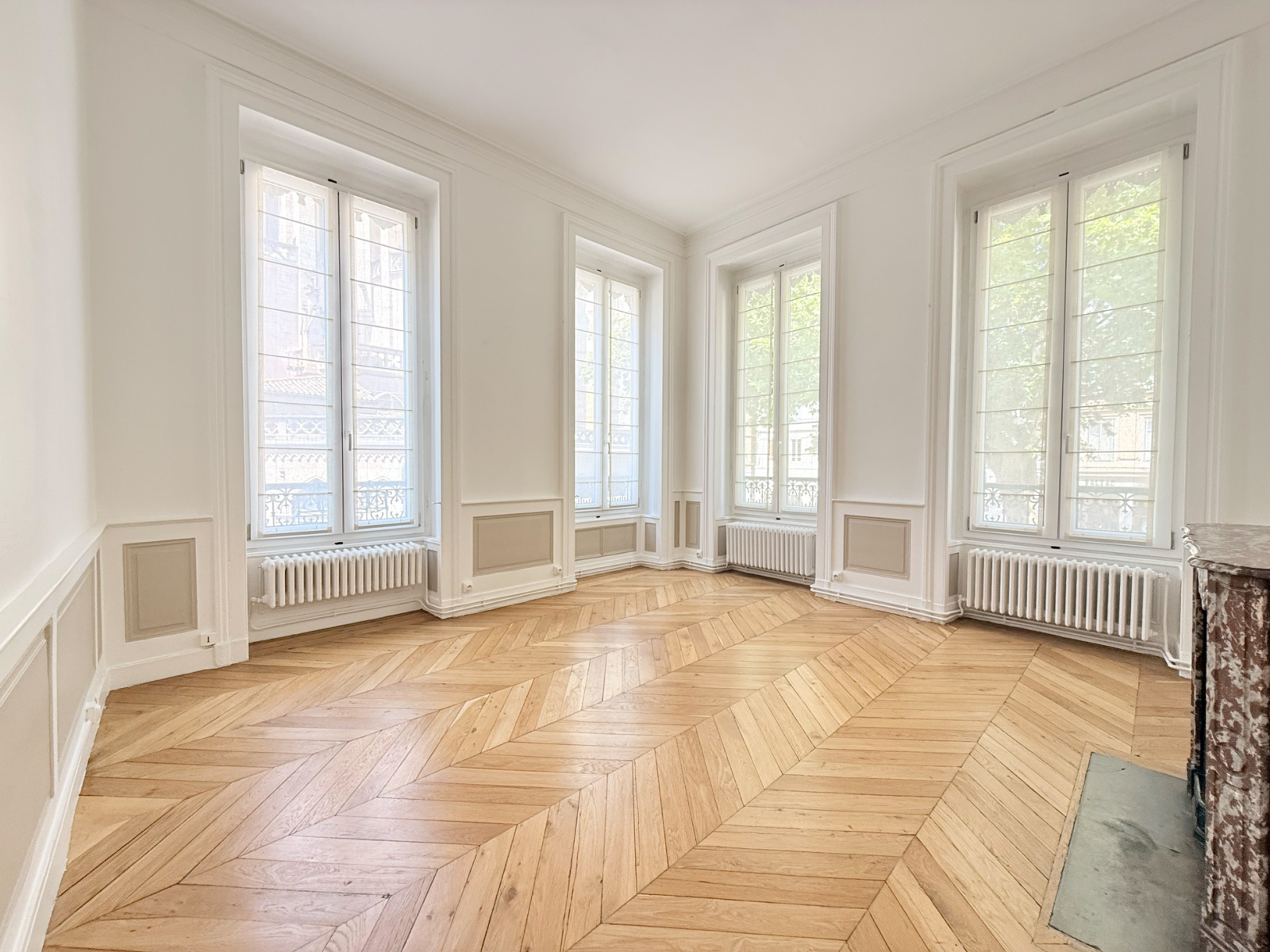 Image_1, Appartement, Lyon, ref :VAP20000053
